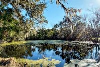 Undeveloped Land for sale in Hillsborough County, Florida