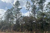 Land for sale in Levy County, Florida