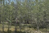 Land for sale in Wilson County, Texas