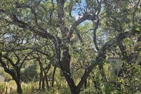 Land for sale in Comal County, Texas