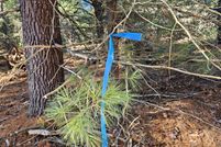 Land for sale in Lake County, Michigan