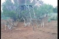 Land for sale in Runnels County, Texas