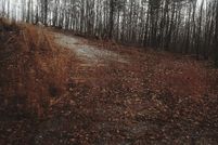 Land for sale in Prince Edward County, Virginia