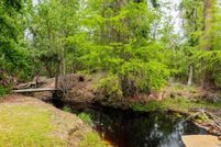 Land for sale in Lanier County, Georgia