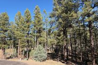Land for sale in Navajo County, Arizona