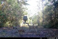 Land for sale in Okaloosa County, Florida