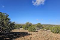 Land for sale in Navajo County, Arizona