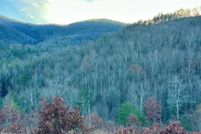 Land for sale in Sevier County, Tennessee