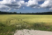 Undeveloped Land for sale in Alpena County, Michigan