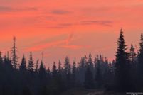 Farm and Ranch for sale in Clearwater County, Idaho