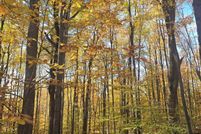 Land for sale in Antrim County, Michigan