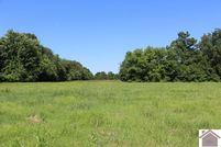 Land for sale in Graves County, Kentucky
