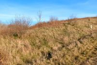 Land for sale in Tioga County, Pennsylvania