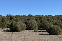 Land for sale in Apache County, Arizona