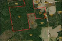Land for sale in Williamsburg County, South Carolina