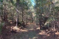 Land for sale in Jasper County, Mississippi