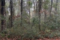 Land for sale in McIntosh County, Georgia