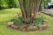 Land for sale in Fannin County, Texas