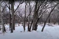 Land for sale in Will County, Illinois