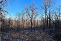 Land for sale in Morgan County, West Virginia