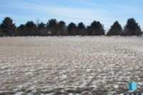 Homesite for sale in Pipestone County, Minnesota