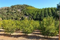 Undeveloped Land for sale in Riverside County, California