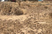 Land for sale in Kern County, California