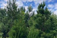 Land for sale in Westmoreland County, Virginia