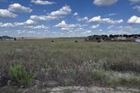 Land for sale in Wilson County, Texas