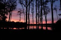 Land for sale in Hillsborough County, Florida