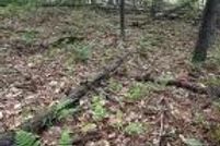 Undeveloped Land for sale in Warren County, New York