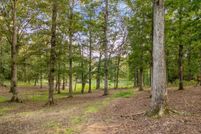 Homesite for sale in Walker County, Alabama