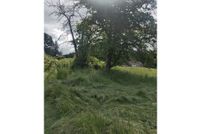 Homesite for sale in Columbia County, Oregon