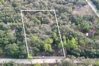 Land for sale in Levy County, Florida