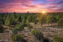 Land for sale in Navajo County, Arizona
