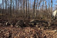 Undeveloped Land for sale in Frederick County, Virginia