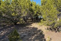 Undeveloped Land for sale in Palo Pinto County, Texas