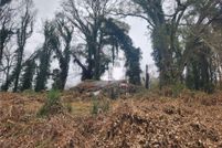 Land for sale in Pickens County, South Carolina