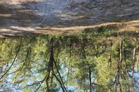 Land for sale in Levy County, Florida