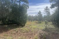 Homesite for sale in Navajo County, Arizona