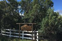 Land for sale in Navajo County, Arizona