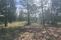 Land for sale in Navajo County, Arizona