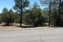 Land for sale in Navajo County, Arizona