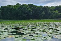 Farm and Ranch for sale in Douglas County, Minnesota