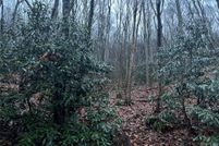 Land for sale in Buncombe County, North Carolina