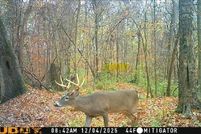 Land for sale in Yazoo County, Mississippi