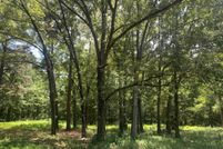 Land for sale in Lonoke County, Arkansas