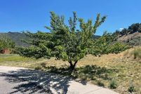 Land for sale in Garfield County, Colorado