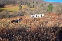 Land for sale in Allegany County, New York