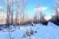 Land for sale in Aroostook County, Maine